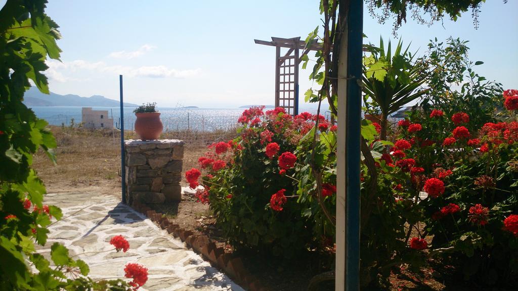 Anatoli Studios Schoinoussa Luaran gambar